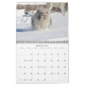 Calendrier 2019 de Keeshond de Keesridge (Mar 2027)