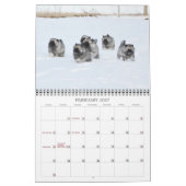 Calendrier 2019 de Keeshond de Keesridge (Feb 2027)