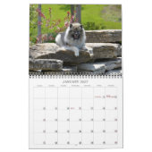 Calendrier 2019 de Keeshond de Keesridge (Jan 2027)