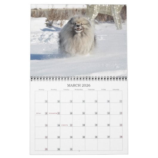 Calendrier 2019 de Keeshond de Keesridge (Mar 2026)