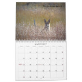 Calendrier 2019 de la faune des terres publiques d (Mar 2027)