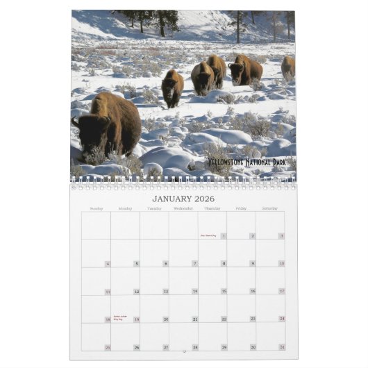 Calendrier 2019 de la faune des terres publiques d (Jan 2026)