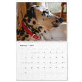 Calendrier 2019 de Mose et de Ty (Feb 2027)