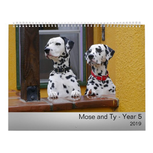 Calendrier 2019 de Mose et de Ty (Protection)