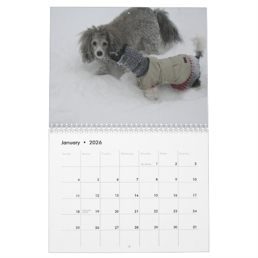 Calendrier 2019 mignon Poodle Chien Images (Jan 2026)