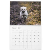 Calendrier 2019 mignon Poodle Chien Images (Feb 2027)