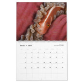 Calendrier 2019 - Sous la surface de l'océan (Feb 2027)
