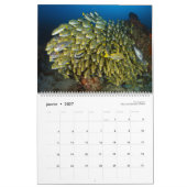 Calendrier 2019 - Sous la surface de l'océan (Jan 2027)
