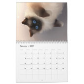 Calendrier 2019 - Tout sur les Chats! (Feb 2027)