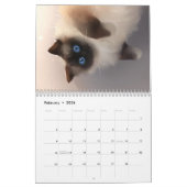 Calendrier 2019 - Tout sur les Chats! (Feb 2026)