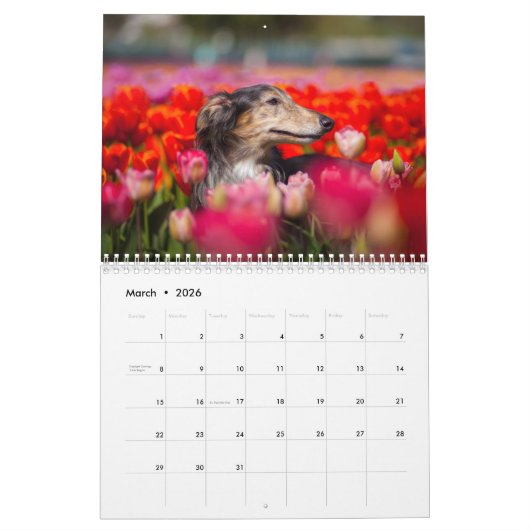 Calendrier 2019 Windhound de soie par NG de Pauline (Mar 2026)