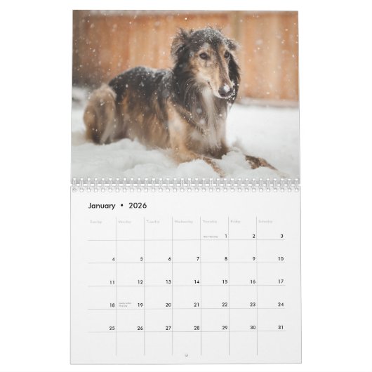 Calendrier 2019 Windhound de soie par NG de Pauline (Jan 2026)