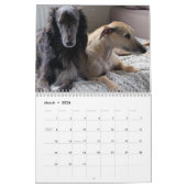 Calendrier 2019 Windhounds de soie avec d'autres (Mar 2026)