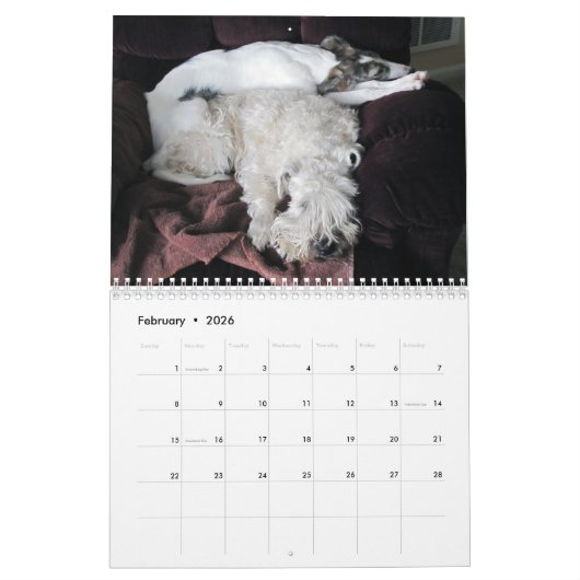 Calendrier 2019 Windhounds de soie avec d'autres 2 (Feb 2026)