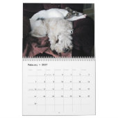 Calendrier 2019 Windhounds de soie avec d'autres 2 (Feb 2027)
