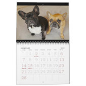 Calendrier 2019times Calendarbook d'archie Brindleton ! ! (Feb 2027)