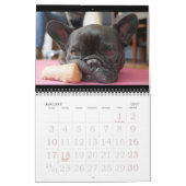 Calendrier 2019times Calendarbook d'archie Brindleton ! ! (Jan 2027)