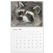 Calendrier 201 Raccoons of Wild Blue Yonder Wildlife Secourt  (Jan 2026)