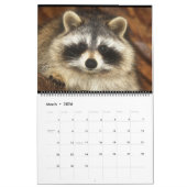 Calendrier 201 Raccoons of Wild Blue Yonder Wildlife Secourt  (Mar 2026)