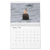 Calendrier 2020 (Feb 2026)