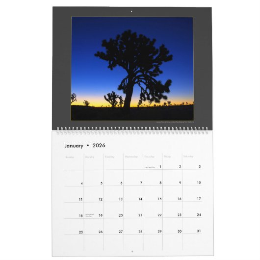 Calendrier 2020 #2 par Mike Norton (Jan 2026)