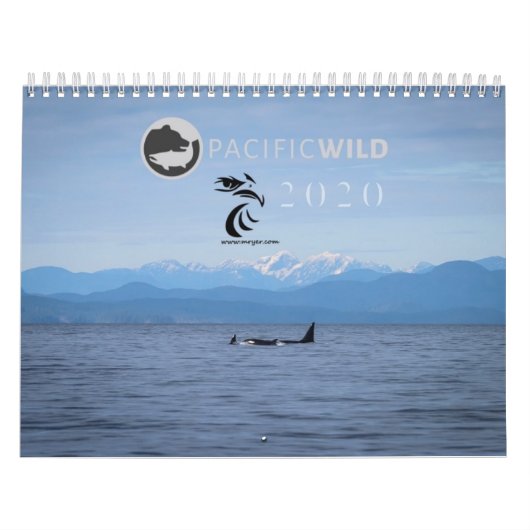 Calendrier 2020 - Cétacés (Protection)