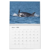 Calendrier 2020 - Cétacés (Mar 2026)