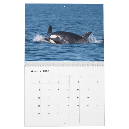 Calendrier 2020 - Cétacés (Mar 2026)