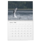 Calendrier 2020 - Cétacés (Jan 2026)