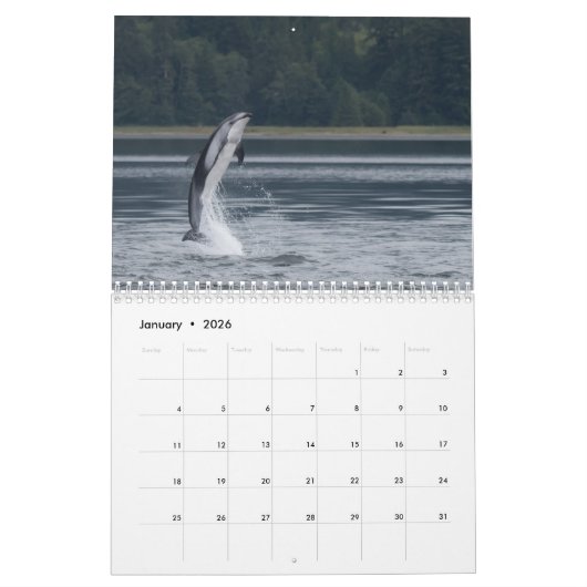 Calendrier 2020 - Cétacés (Jan 2026)