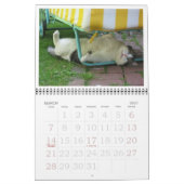 CALENDRIER 2020 DE FATBOY BABUSHKA (Mar 2027)
