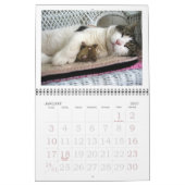 CALENDRIER 2020 DE FATBOY BABUSHKA (Jan 2027)