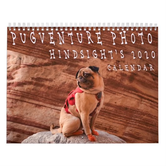 Calendrier 2020 de Pugventure Photo Hindsight (Med (Protection)