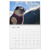 Calendrier 2020 de Pugventure Photo Hindsight (Med (Jan 2027)