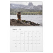 Calendrier 2020 de Pugventure Photo Hindsight (Med (Feb 2027)