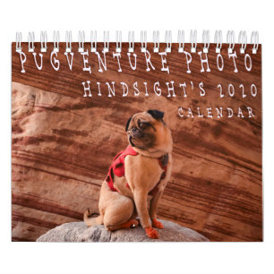 Calendrier 2020 de Pugventure Photo Hindsight (Sma