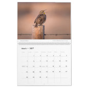 Calendrier 2020 du mur - Faune et paysages (Mar 2027)