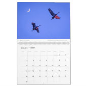 Calendrier 2020 du mur - Faune et paysages (Jan 2027)