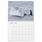 Calendrier 2020 Les Baleines tueuses résidentes du (Feb 2026)