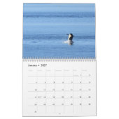 Calendrier 2020 Les Baleines tueuses résidentes du (Jan 2027)