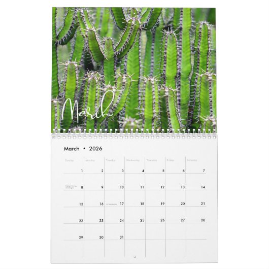Calendrier 2020 Modern Script Succulents et Cactus (Mar 2026)