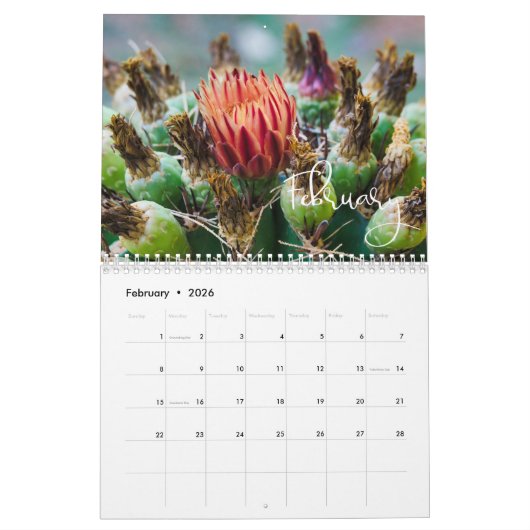 Calendrier 2020 Modern Script Succulents et Cactus (Feb 2026)