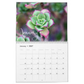 Calendrier 2020 Modern Script Succulents et Cactus (Jan 2027)