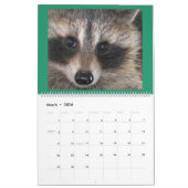Calendrier 2020 Raccoon de Wild Blue Yonder. (Mar 2026)
