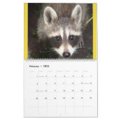 Calendrier 2020 Raccoon de Wild Blue Yonder. (Feb 2026)