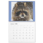 Calendrier 2020 Raccoon de Wild Blue Yonder. (Jan 2026)