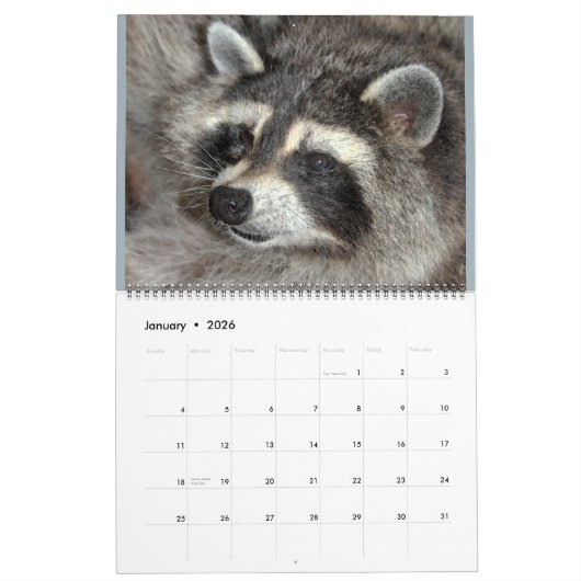 Calendrier 2020 Raccoons of Wild Blue Yonder Wildlife Secourt (Jan 2026)