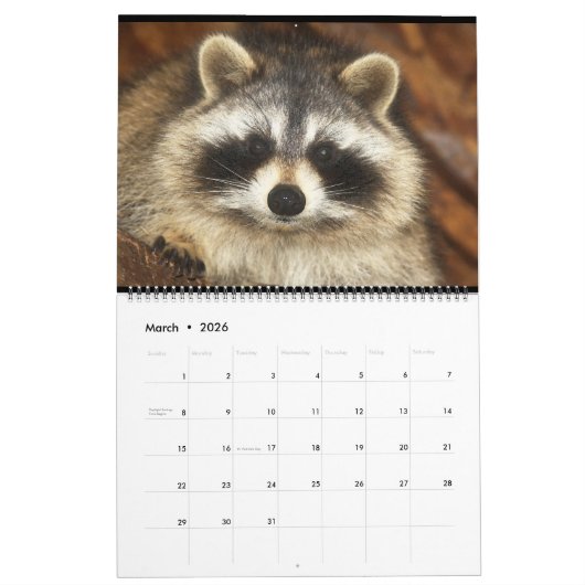 Calendrier 2020 Raccoons of Wild Blue Yonder Wildlife Secourt (Mar 2026)