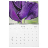 Calendrier 2020 sera en couleur (Mar 2027)