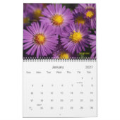 Calendrier 2020 sera en couleur (Jan 2027)